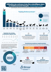 statistiques_2022-utilisation-des-animaux-fins-scientifiques-et-reglementaires